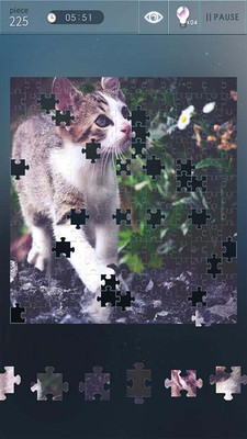 益智拼图世界(Jigsaw puzzle world)安卓版截图2
