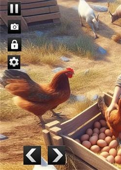 农场养鸡模拟器(Farm Chicken Simulator)手机版截图2