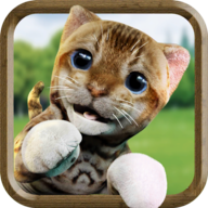 可爱猫咪模拟器(Cute Cat Simulator Games Free Family Pet Kitten)手机版