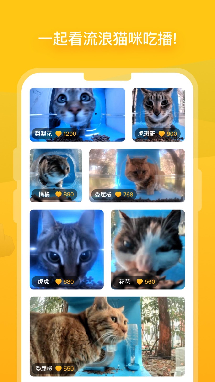 哈啰街猫app安卓版截图2