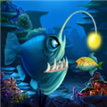 大鱼吃小鱼单机版 V1.0.41
